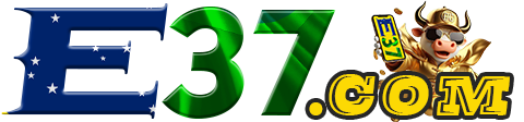 Logo e37